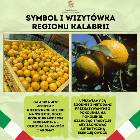 Kandyzowana skórka bergamotki 130g