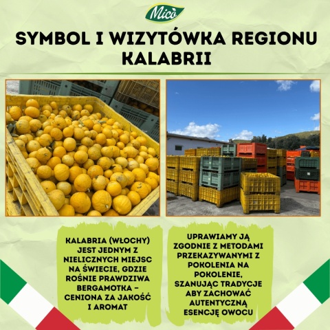 Olejek eteryczny z BIO Bergamotki ESENSJA 100% 10ml