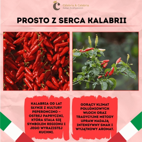 Pasta z papryczki chilli z oliwą extra vergine 280g