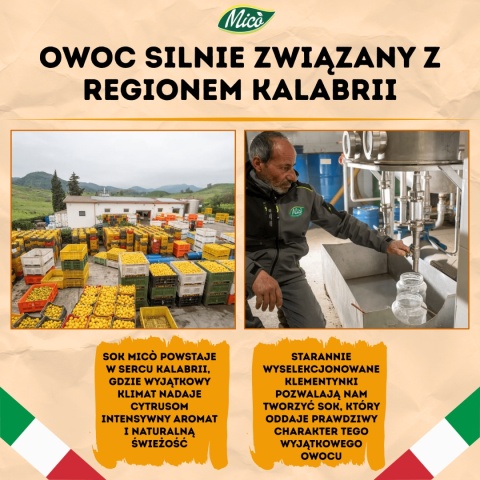Sok Klementynka 750ml , prosto z Kalabrii, Eko plantacja MICO