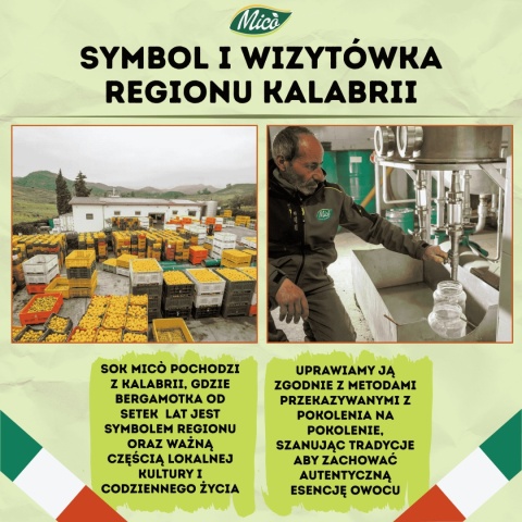 Sok Moitwa - Bergamotka z miętą 200ml, prosto z Kalabrii