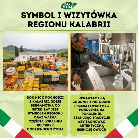 Sok NFC - Bergamotka z jabłkiem 750ml, prosto z Kalabrii